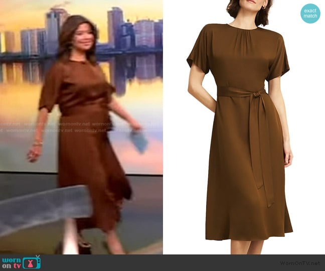 Hobbs London Darracott Dress worn by Ana Navarro on The View