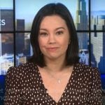 Jo Ling Kent’s brown dotted print dress on CBS Mornings