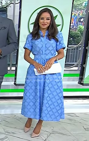 Kaylee's blue diamond pattern dress on Today