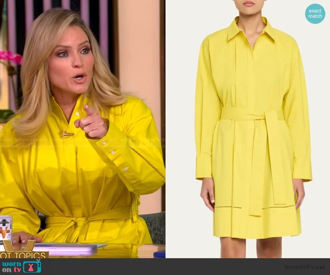 Proenza Schouler Sammy Belted Ladder Stitch Poplin Dress worn by Sara Haines on The View