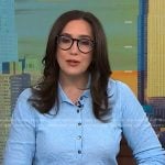 Savannah's blue textured long sleeve polo on NBC News Daily