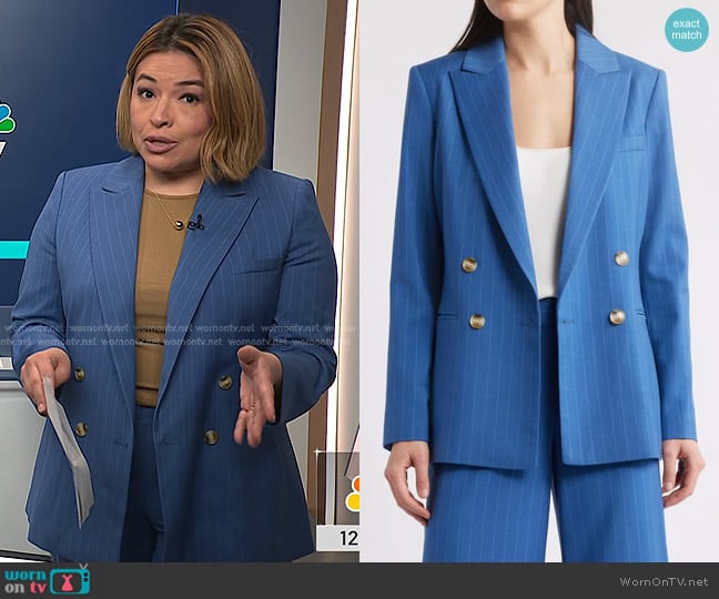Tahari ASL Pinstripe Double Breasted Blazer in Indigo worn by Gilma Avalos on NBC News Daily