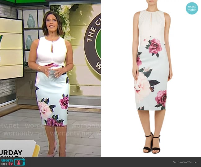 Ted Baker Annile Magnificent-Print Dress worn by Dana Jacobson on CBS Mornings