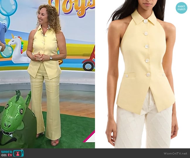 Veronica Beard Orlinda Button Vest in Chamomile worn by Laurie Schacht on Today