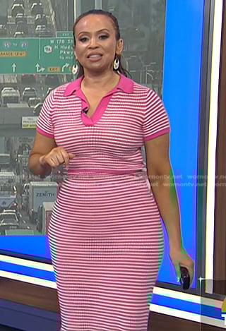 Adelle's pink stripe polo and knit skirt on Today