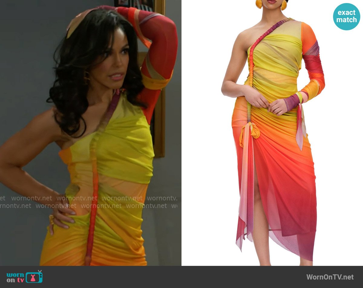 Andrea Iyamah Turi Ombré Mesh One-Shoulder Midi Dress worn by Dani Dupree (Karla Mosley) on Beyond the Gates