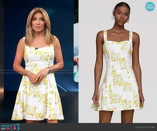 Avec Les Filles Printed Sleeveless Mini Dress worn by Kit Hoover on Access Hollywood