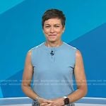 Stephanie’s blue sleeveless knit top and check pants on Today