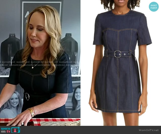 Cinq à Sept Siv Belted Denim Dress worn by Tricia Wallwork on Today