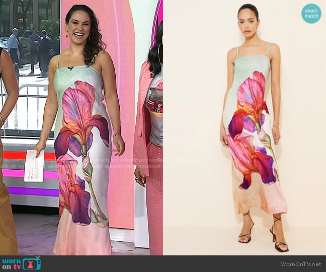 Conditions Apply Chloe Strapless Maxi Dress worn by Donna Farizan on Today