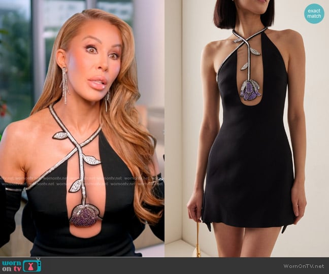 David Koma Embroidered-Cady Mini Dress worn by Lisa Hochstein (Lisa Hochstein) on The Real Housewives of Miami