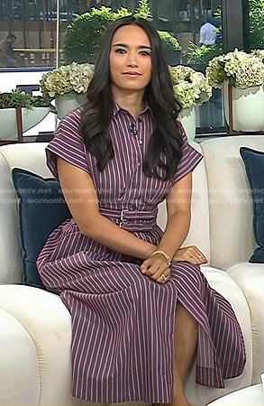Emilie’s pink pinstripe shirtdress on Today