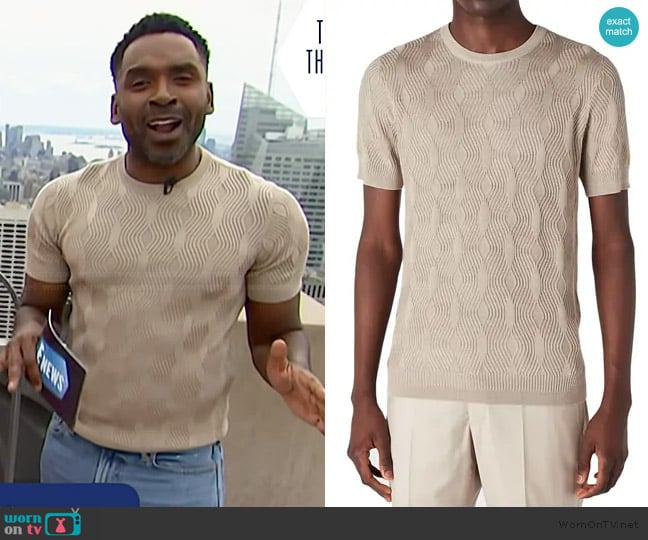Emporio Armani Short Sleeve Sweater worn by Justin Sylvester on E! News