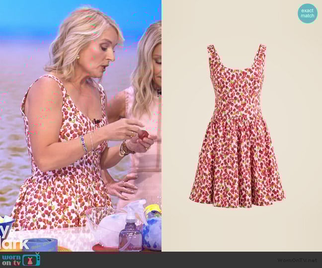 J. Crew Fit-and-flare mini dress in raspberry print worn by Meaghan B Murphy on Live with Kelly and Mark