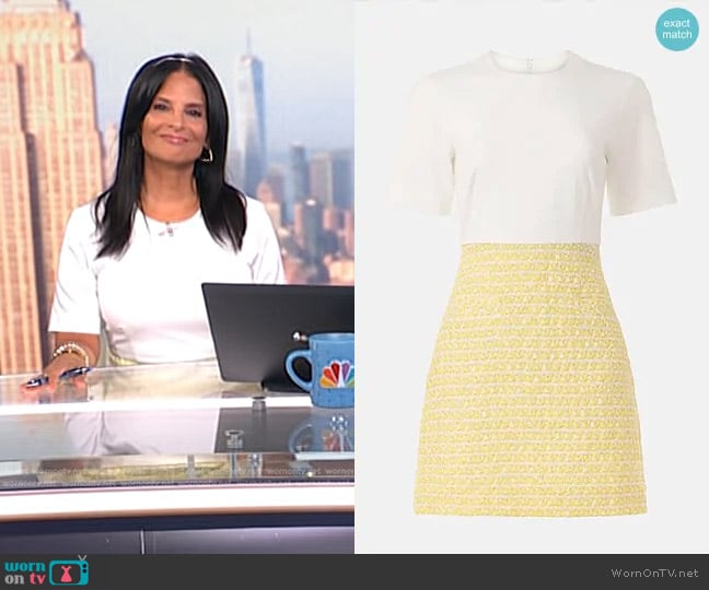 Jason Wu x RTR Short Sleeve Tweed Dress worn by Darlene Rodriguez on Today