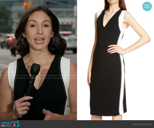 Judith & Charles Avellino Sheath Dress worn by Ali Bauman on CBS Evening News