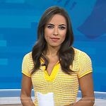 Kaylee's yellow knit polo dress on Today