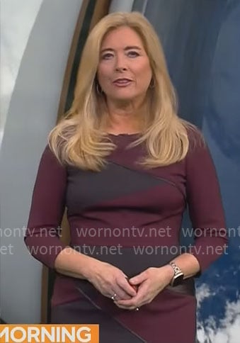 Kelly Cass' purple colorblock dress on CBS Mornings