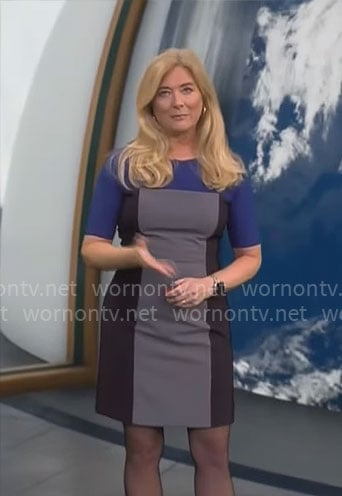 Kelly Cass's grey and blue colorblock dress on CBS Mornings
