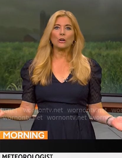 Kelly Cass’s navy sheer sleeve dress on CBS Mornings