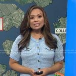 Adelle’s blue short sleeve knit dress on Today