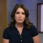 Liz’s navy polo dress on Today