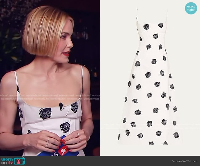 Marni Rose-Print Sleeveless Button-Back Ankle Dress worn by Leslie Bibb on Access Hollywood