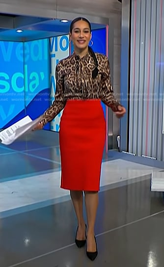 Morgan's leopard blouse and red skirt on NBC News Daily