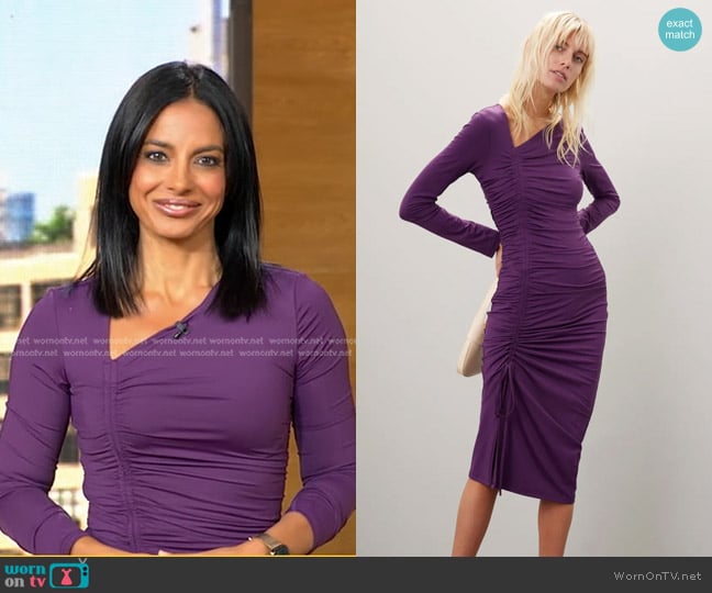 Rachel Parcell Asymmetric Shirred Long Sleeve Dress worn by Dr. Tara Narula on Good Morning America