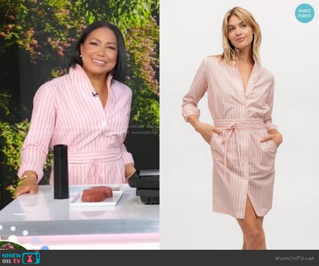 Sarah Alexandra Sugar Baby Shirt Dress in Stone & Neon Pink Uneven Stripe worn by Stephanie Ramos on Good Morning America