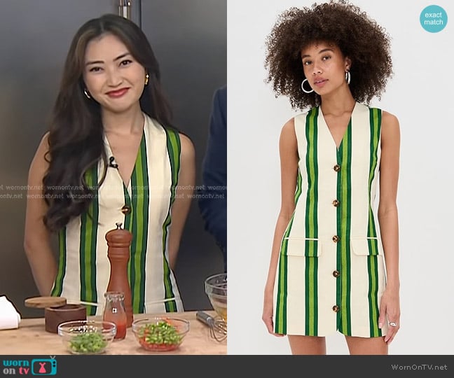 Simon Miller Carob Printed Linen Mini Dress in Cream/Green Stripe worn by Kylie Sakaida on Today