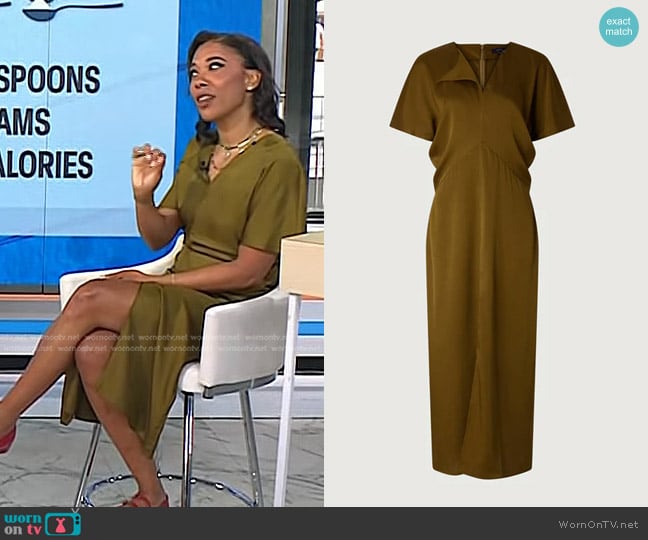 Soeur Ella Dress in Bronze worn by Vanessa Rissetto on Today