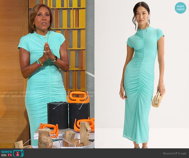 Suboo Christy Mesh Cap Sleeve Dress worn by Robin Roberts on Good Morning America