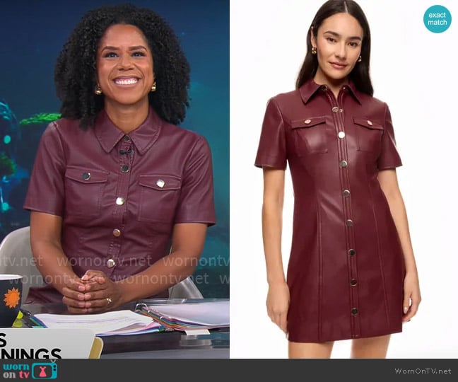 Toccin Faux Leather Short Sleeve Dress worn by Adriana Diaz on CBS Mornings