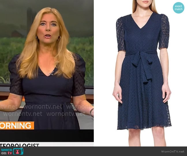 Tommy Hilfiger Short Puff Sleeve Solid Chiffon Fit & Flare Dress Navy Blue worn by Kelly Cass on CBS Mornings