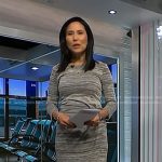 vicky’s grey space dye tulip hem dress on NBC News Daily