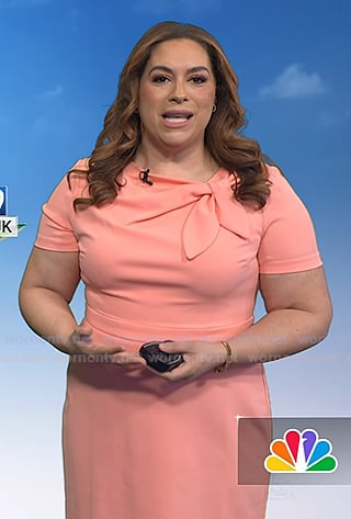 Violeta Yas' pink tie neck dress on Today