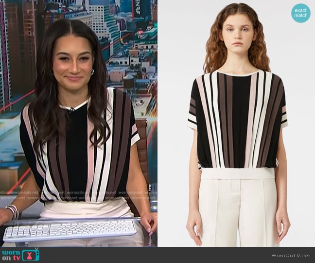 Weekend Max Mara Pegola Pleated Top worn by Morgan Radford on NBC News Daily