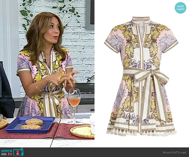 Anna Francese Gass’s print mini dress on Today
