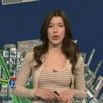 Lindsay Tuchman's beige striped top and cardigan on Good Morning America