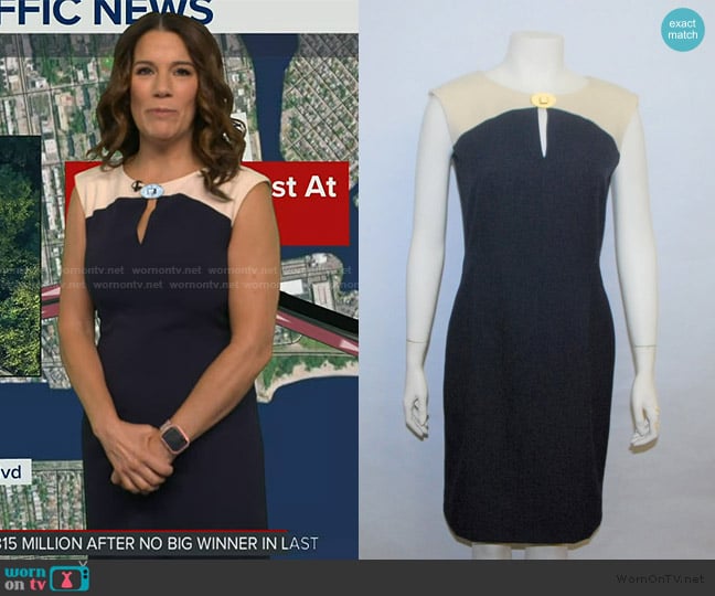 Calvin Klein Blue Beige Sleeveless Sheath worn by Heather O’Rourke on Good Morning America