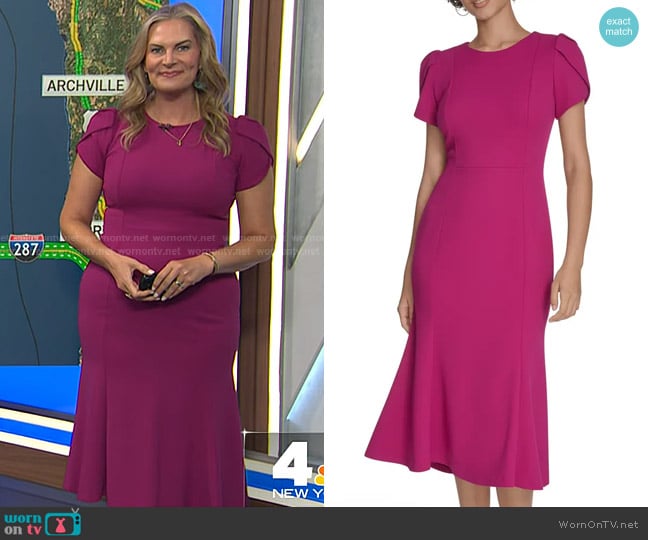 Calvin Klein Tulip Sleeve Crepe A-Line Midi Dress in Boysenberry worn by Emily West on Today