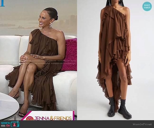 Collina Strada Violet Tiered Ruffle One-Shoulder Silk Chiffon Dress worn by Nicole Ari Parker on Today