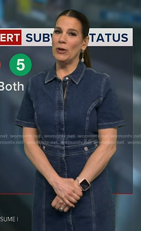 Heather's zip front denim dress on Good Morning America