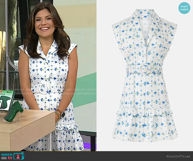 Hutch Carla Dress worn by Adrianna Barrionuevo Brach on Today