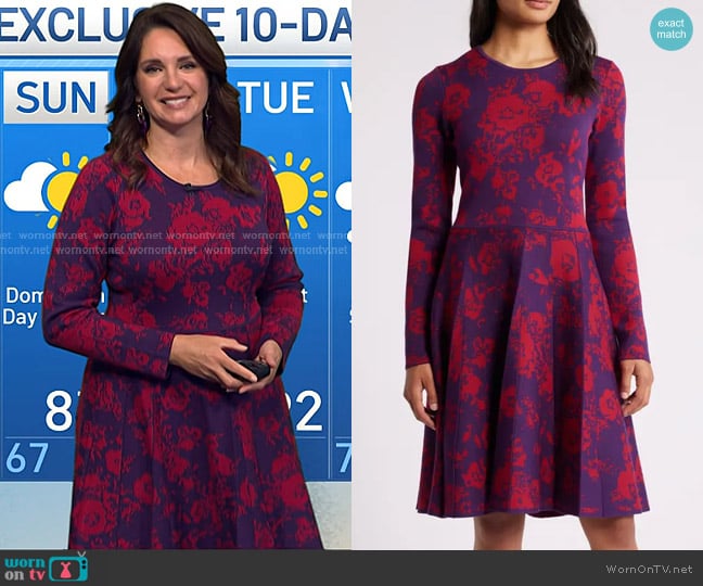 Julia Jordan Floral Long Sleeve Sweater Dress worn by Maria Larosa on Today