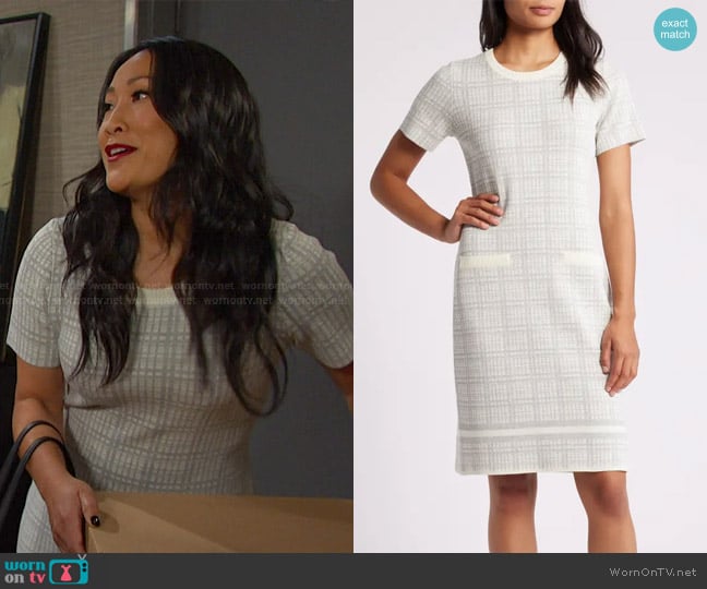 Julia Jordan Short Sleeve Sweater Dress in Ivory Grey worn by Melinda Trask (Tina Huang) on Days of our Lives