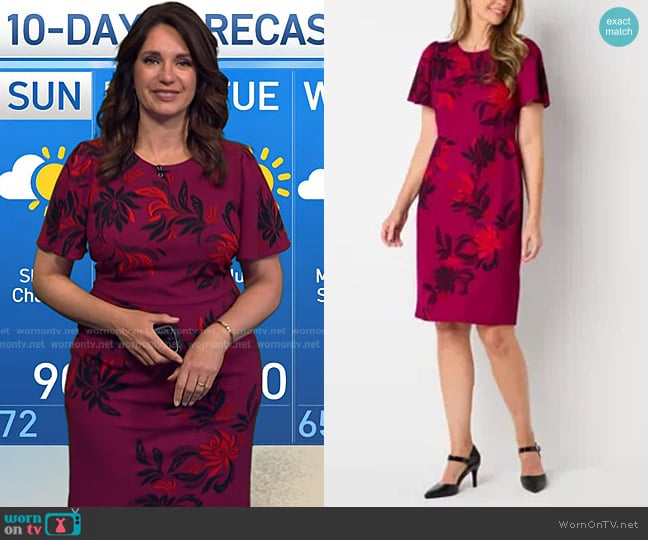 Liz Claiborne Short Sleeve Floral Midi Sheath Dress worn by Maria Larosa on Today