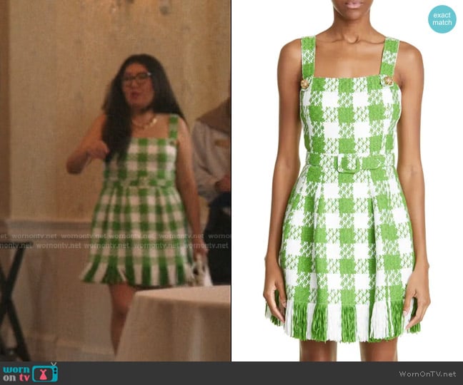 Oscar de la Renta Gingham Fringe Hem Cotton Blend Dress worn by (Jenny Han) on The Summer I Turned Pretty