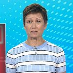 Stephanie’s blue stripe tee on Today